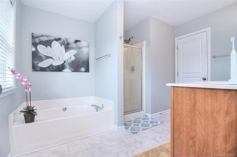 18705 Ronceverte Dr, Cornelius, NC 28031 photo 20