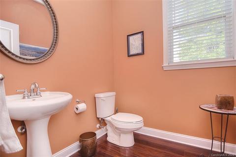 18705 Ronceverte Dr, Cornelius, NC 28031 photo 17
