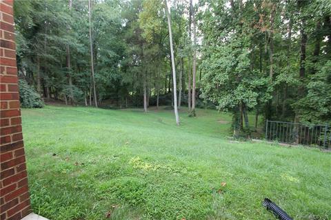18716 River Falls Dr, Davidson, NC 28036 photo 3