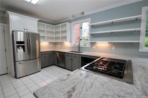 18716 River Falls Dr, Davidson, NC 28036 photo 9
