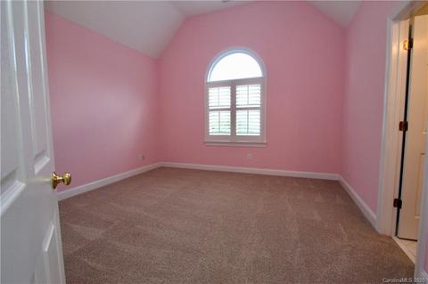 18716 River Falls Dr, Davidson, NC 28036 photo 18