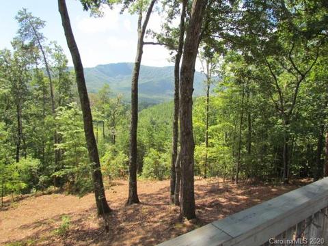 170 Winter Dr, Mill Spring, NC 28756 photo 3