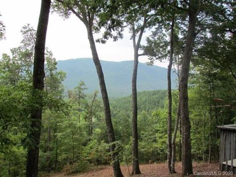 170 Winter Dr, Mill Spring, NC 28756 photo 4