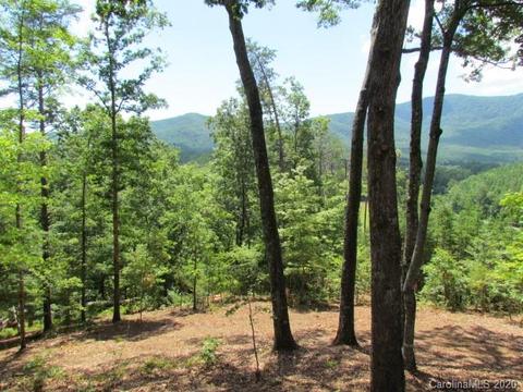 170 Winter Dr, Mill Spring, NC 28756 photo 5