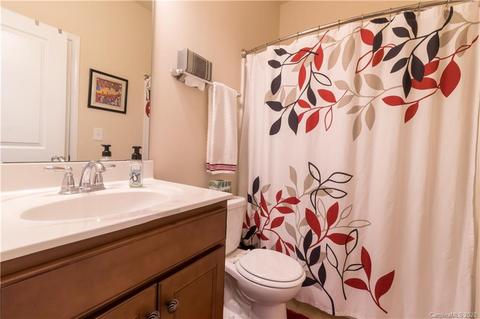 234 Hydrangea Dr, Clover, SC 29710 photo 17