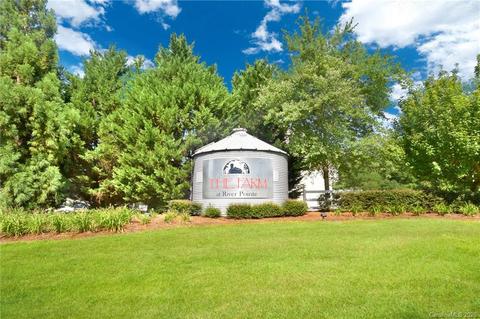 3300 Brackhill St, Davidson, NC 28036 photo 31