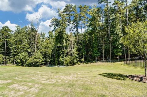 1704 Half Pint Loop, Fort Mill, SC 29708 photo 40