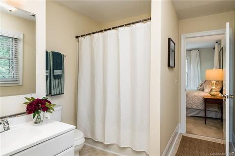 1216 Hudson Pl, Davidson, NC 28036 photo 20