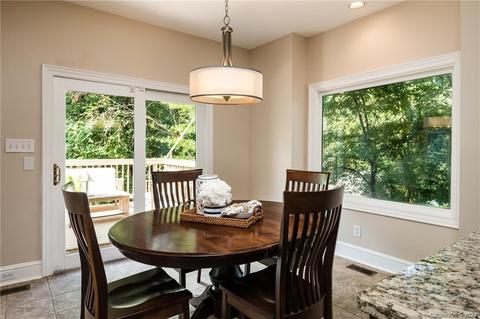 1216 Hudson Pl, Davidson, NC 28036 photo 9