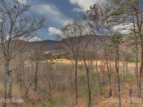 995 Deep Gap Farm Rd, Mill Spring, NC 28756 photo 28