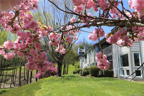 127 Burning Tree Ln, Flat Rock, NC 28731 photo 1