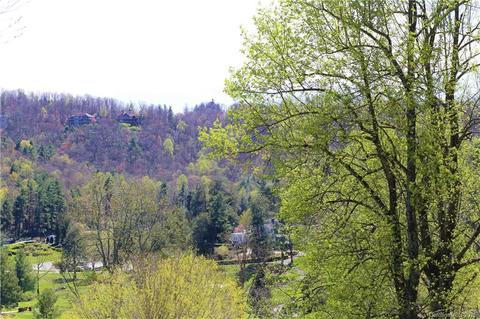 127 Burning Tree Ln, Flat Rock, NC 28731 photo 2