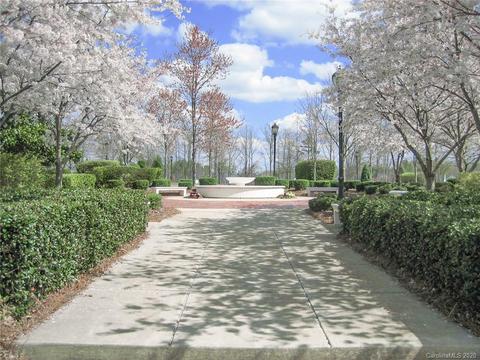 18710 Oakhurst Blvd #2E, Cornelius, NC 28031 photo 20