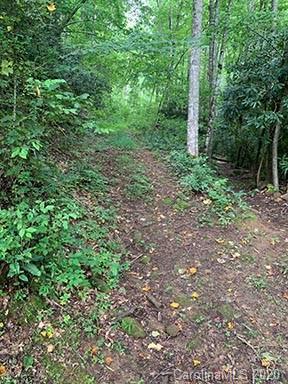 41 Whisper Mountain Rd, Sylva, NC 28779 photo 14