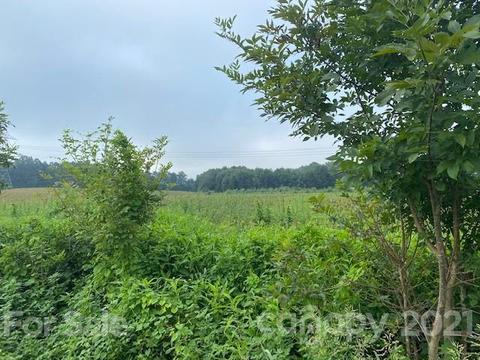 610 Bruce Thomas Rd, Monroe, NC 28112 photo 6