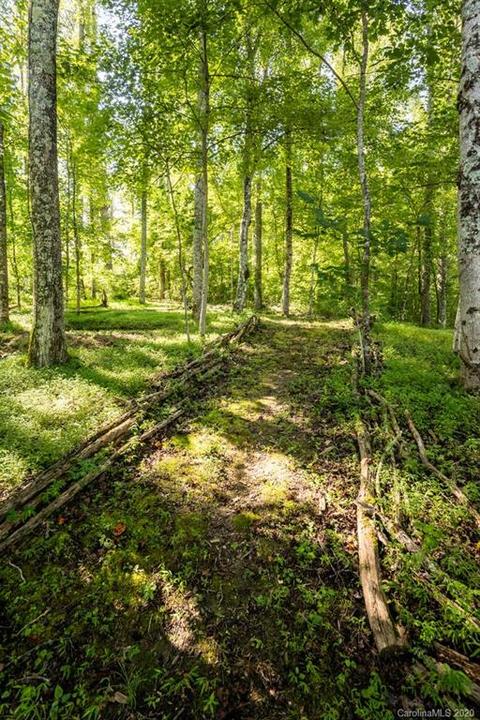 471 Snowbird Rd, Marshall, NC 28753 photo 40