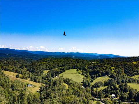 471 Snowbird Rd, Marshall, NC 28753 photo 46