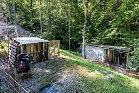 471 Snowbird Rd, Marshall, NC 28753 photo 39