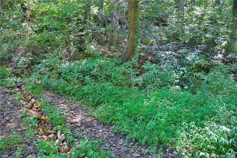 6295 Crabtree Rd, Clyde, NC 28721 photo 6