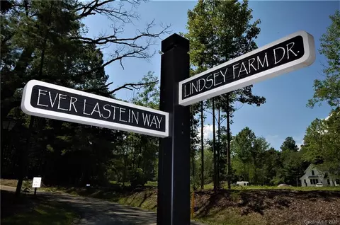23 Leon Lara Ln, Flat Rock, NC 28731 photo 33