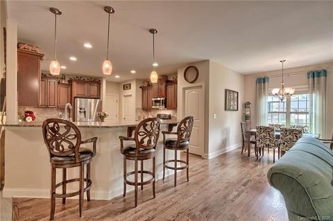 540 Arrow Point Ln, Davidson, NC 28036 photo 13