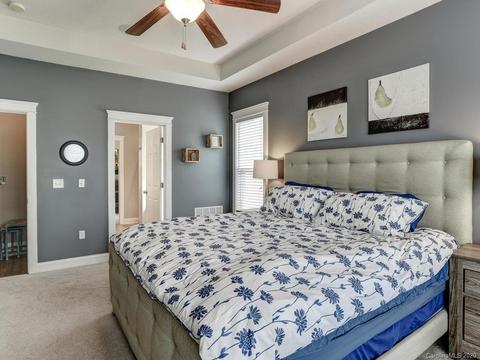 227 Nut Hatch Loop, Arden, NC 28704 photo 15