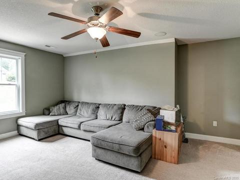 227 Nut Hatch Loop, Arden, NC 28704 photo 23
