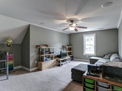227 Nut Hatch Loop, Arden, NC 28704 photo 22