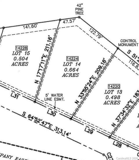 14224 Ryker Way, Davidson, NC 28036 photo 8