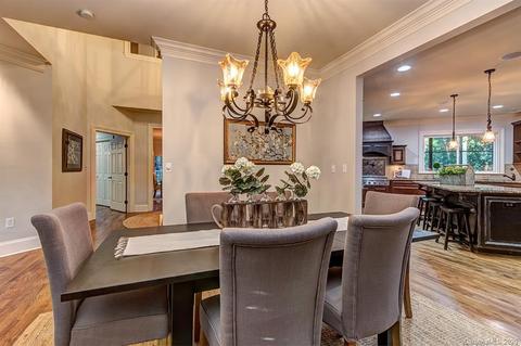 13201 White Birch Ter, Davidson, NC 28036 photo 6