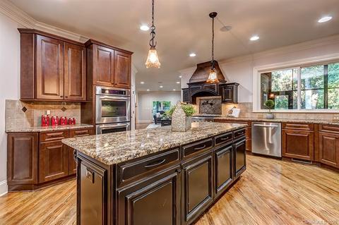 13201 White Birch Ter, Davidson, NC 28036 photo 8