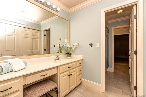 13201 White Birch Ter, Davidson, NC 28036 photo 29