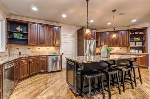 13201 White Birch Ter, Davidson, NC 28036 photo 9