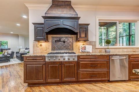 13201 White Birch Ter, Davidson, NC 28036 photo 10