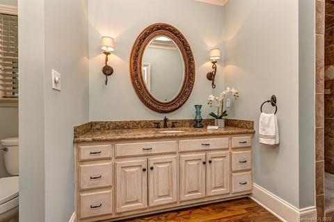 13201 White Birch Ter, Davidson, NC 28036 photo 19