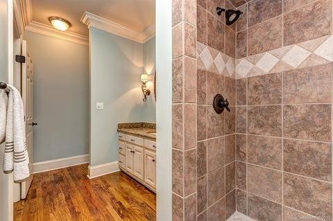13201 White Birch Ter, Davidson, NC 28036 photo 20
