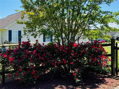 4371 Frank Dellinger Ln, Maiden, NC 28650 photo 36