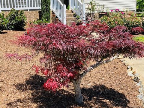 4371 Frank Dellinger Ln, Maiden, NC 28650 photo 6
