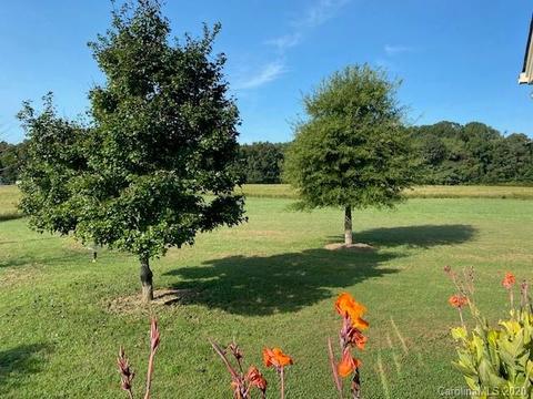 470 Rolling Acres Dr, Mount Ulla, NC 28125 photo 23