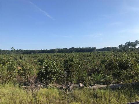 3364 Old Stagecoach Rd, Bethune, SC 29009 photo 1