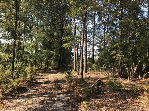 3364 Old Stagecoach Rd, Bethune, SC 29009 photo 3