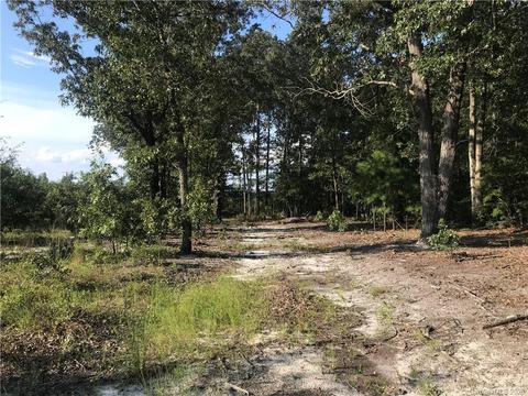 3364 Old Stagecoach Rd, Bethune, SC 29009 photo 2