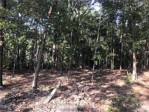 3364 Old Stagecoach Rd, Bethune, SC 29009 photo 4
