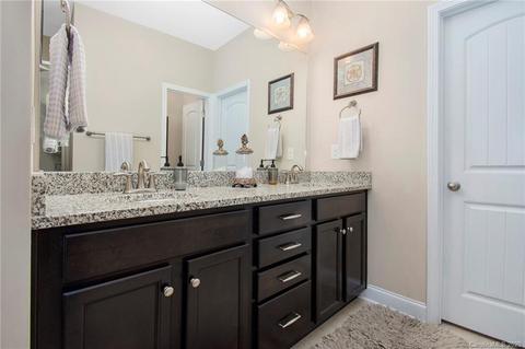 16507 Landen Forest Ln, Davidson, NC 28036 photo 20