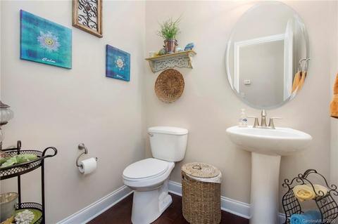 16507 Landen Forest Ln, Davidson, NC 28036 photo 9