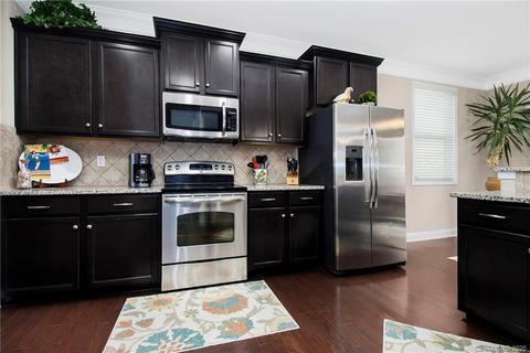 16507 Landen Forest Ln, Davidson, NC 28036 photo 10