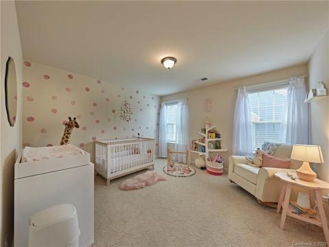 17416 Shearer Rd, Davidson, NC 28036 photo 34