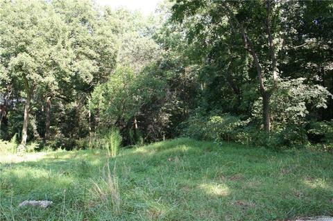 113 Hillside Dr, Davidson, NC 28036 photo 3