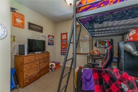 10 Forge Dr, Mills River, NC 28759 photo 15