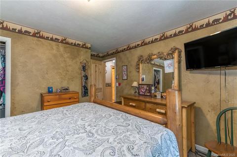 10 Forge Dr, Mills River, NC 28759 photo 13